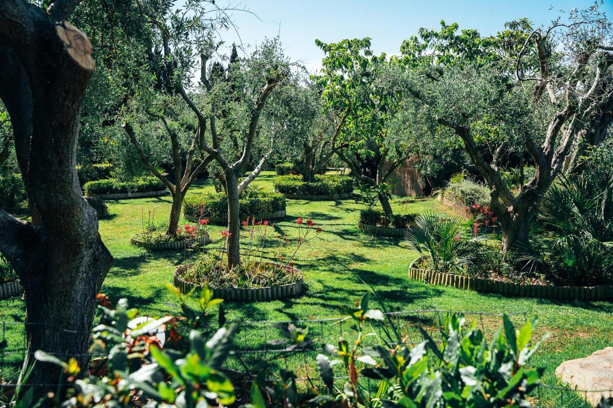 Residence Solemaremma Кастільйоне-делла-Пеская Екстер'єр фото
