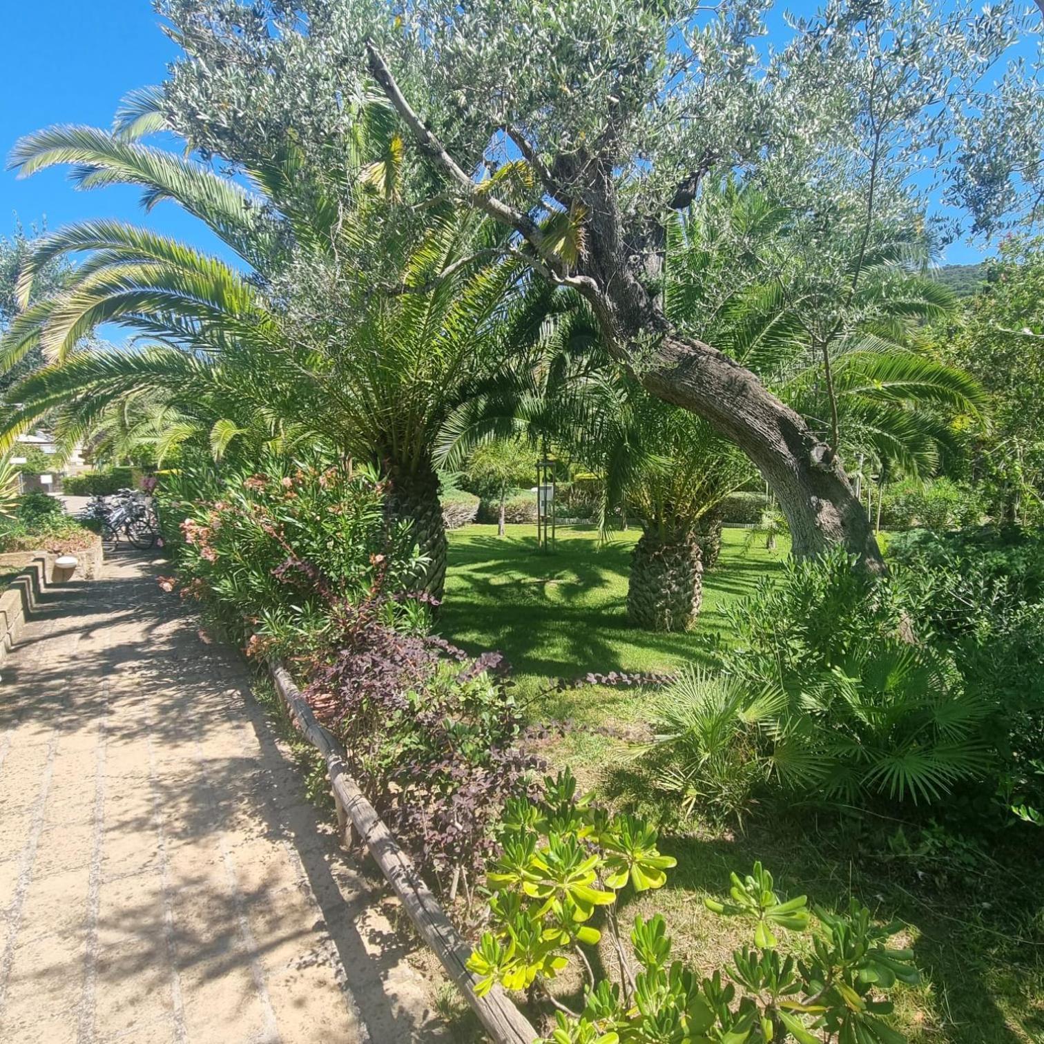 Residence Solemaremma Кастільйоне-делла-Пеская Екстер'єр фото