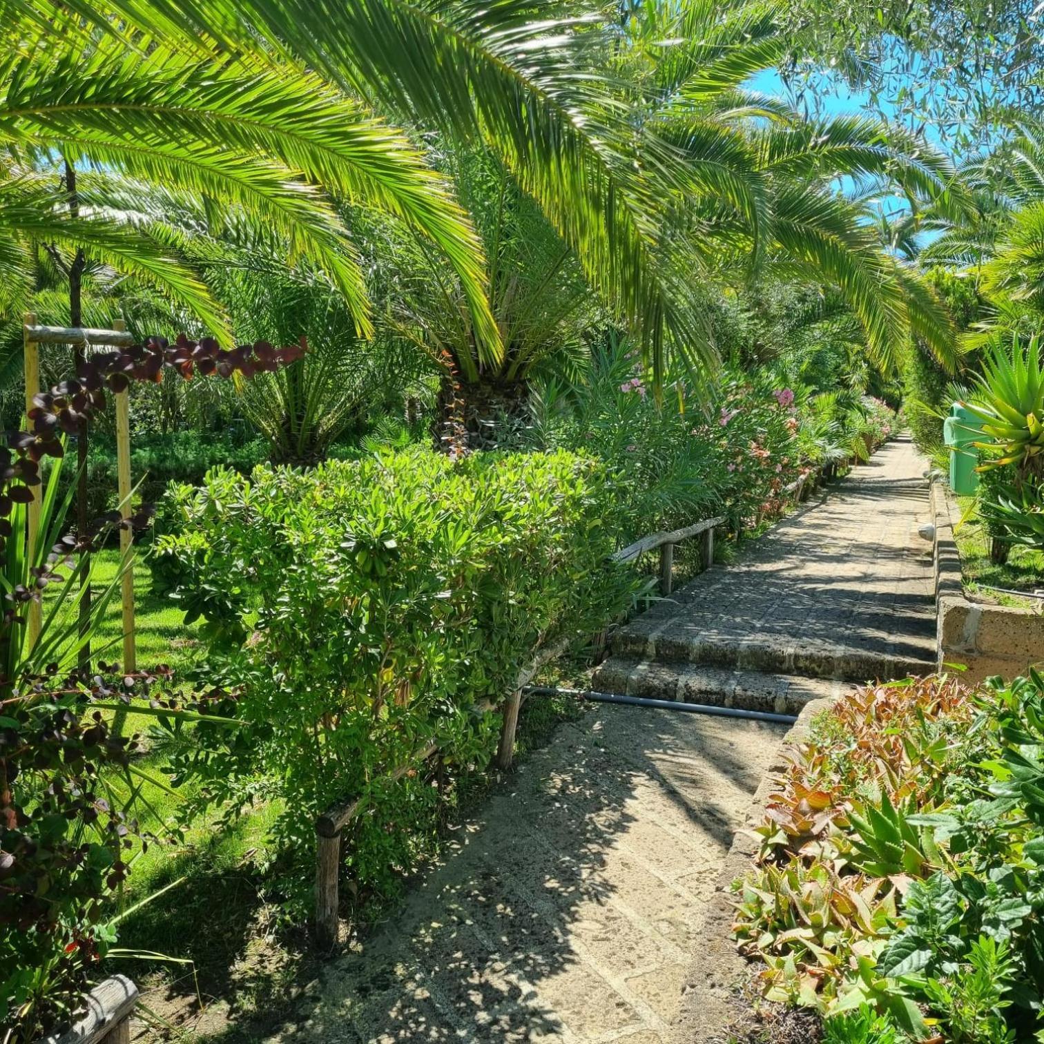 Residence Solemaremma Кастільйоне-делла-Пеская Екстер'єр фото